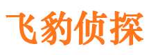 岳西市私家侦探